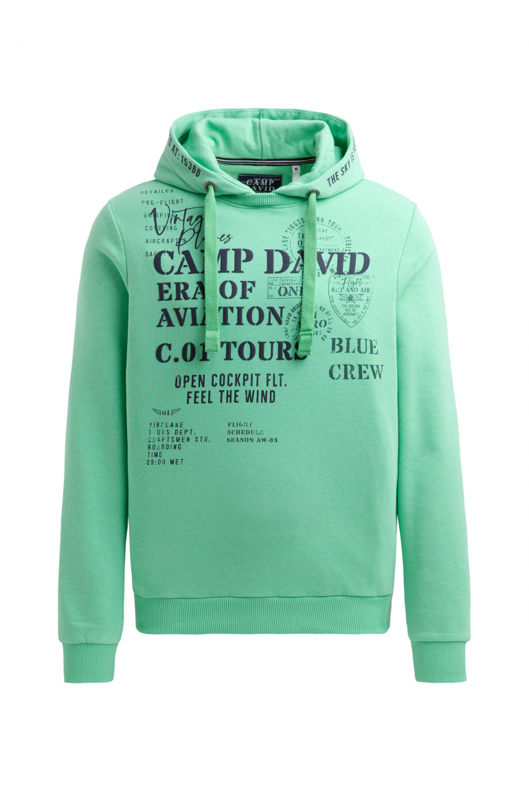 Hoodie mit Puffprint flight green