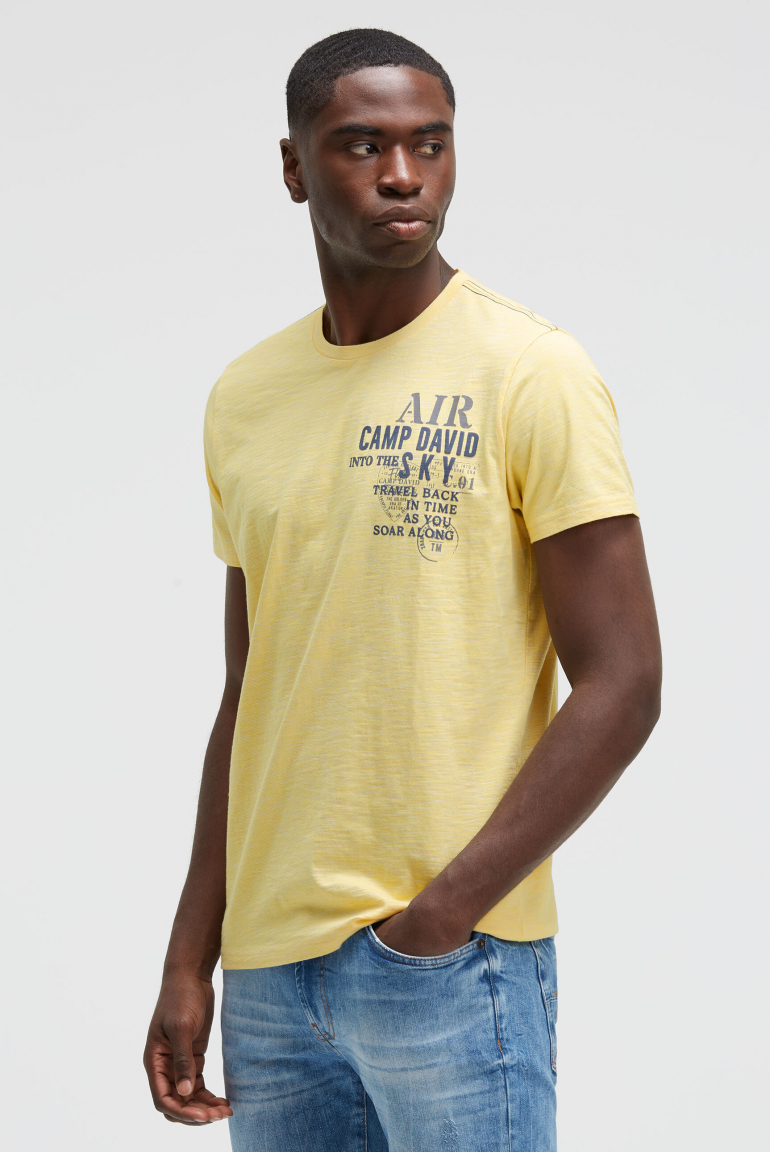 T-Shirt mit Streifen-Design und Rücken-Print