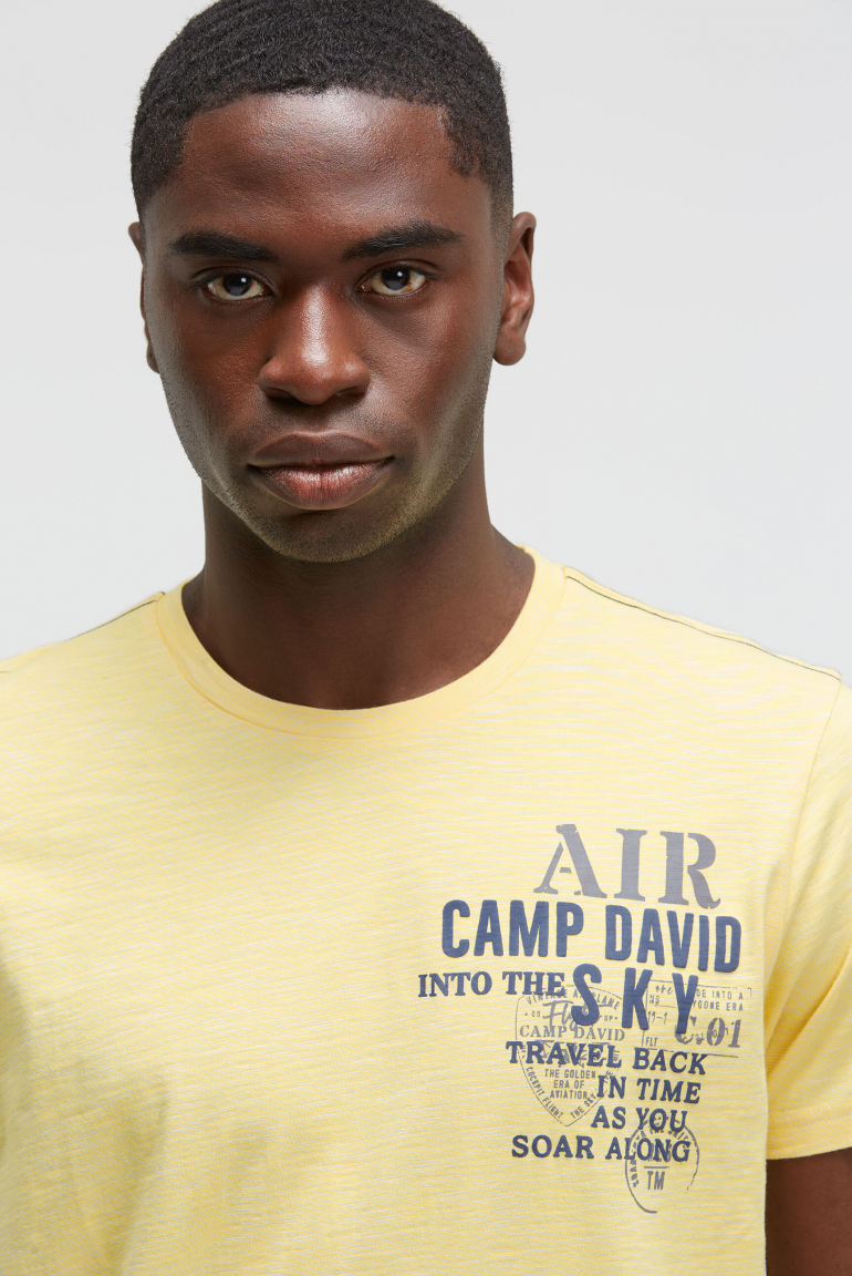 T-Shirt mit Streifen-Design und Rücken-Print