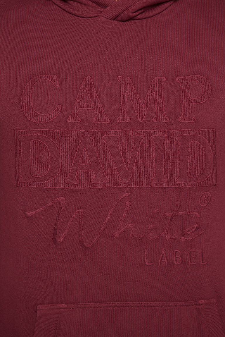 Hoodie mit tonigem Logo Artwork
