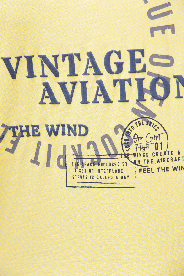 T-Shirt mit Streifen-Design und Rücken-Print