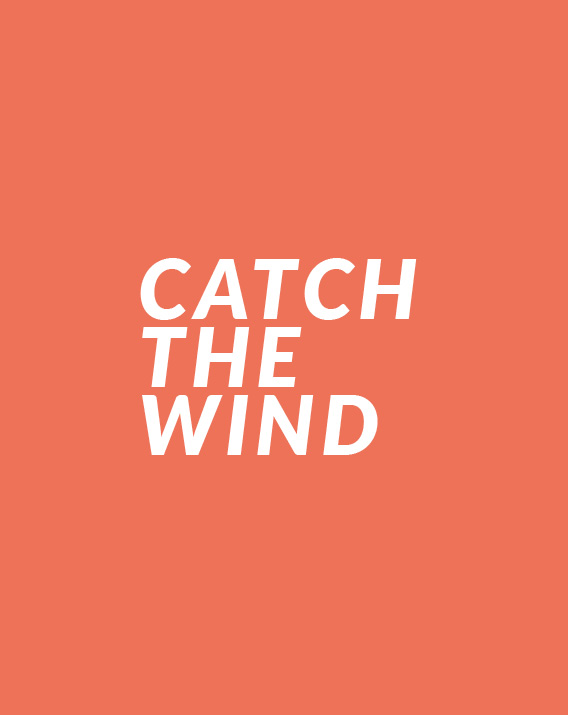 Catch The Wind